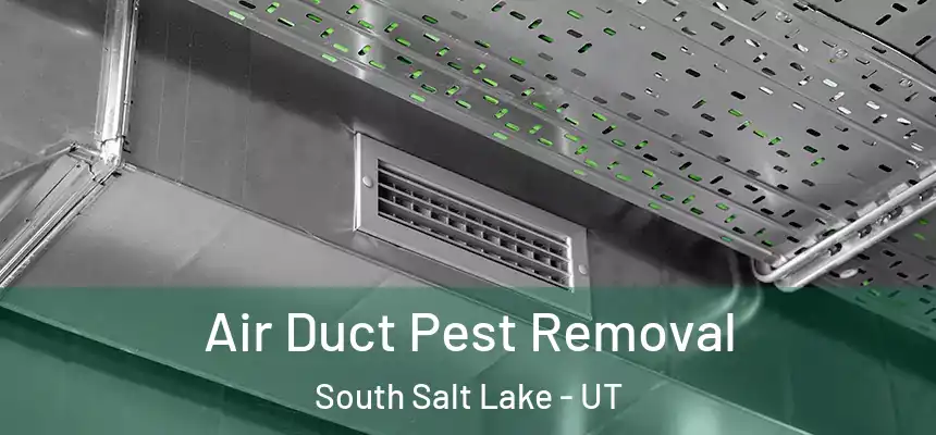 Air Duct Pest Removal South Salt Lake - UT
