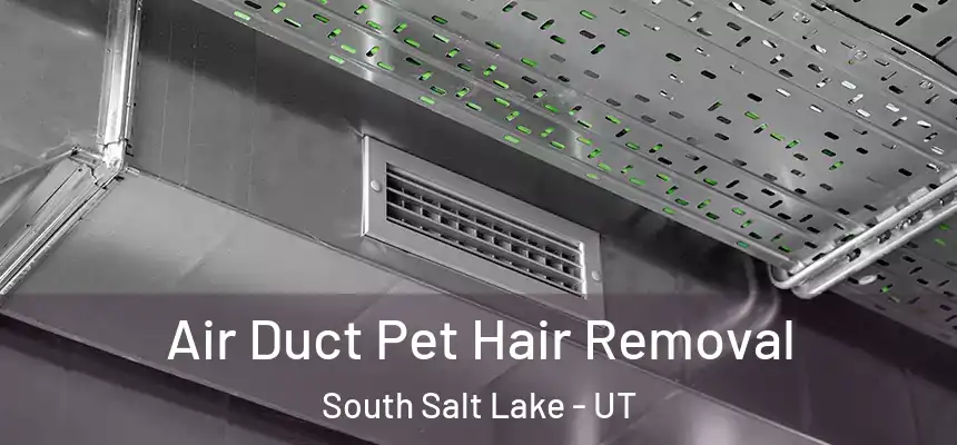 Air Duct Pet Hair Removal South Salt Lake - UT