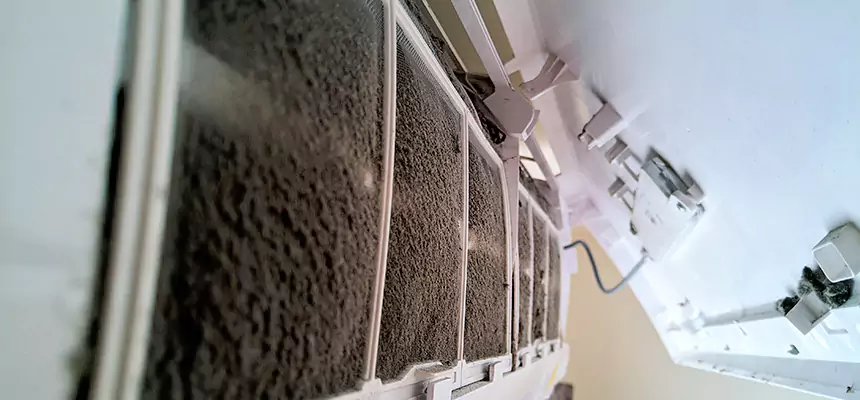 Preventive Air Duct Bacteria Removal in South Salt Lake