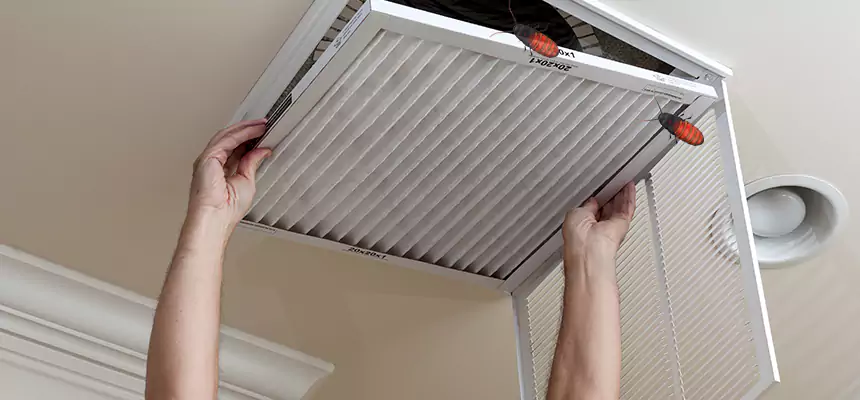 Preventive Cockroach-Proofing for Ducts in South Salt Lake