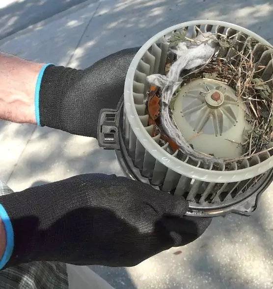 About Air Duct Mice Removal in South Salt Lake, UT