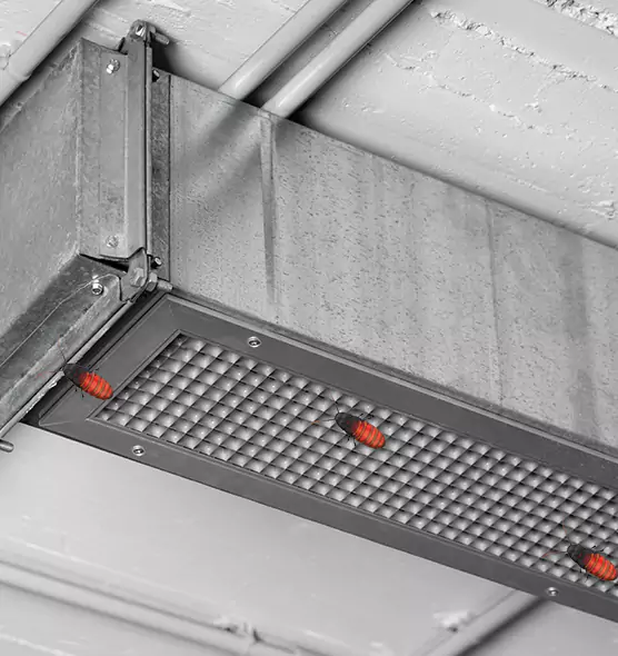 Affordable Insect Removal from Air Ducts in South Salt Lake, UT