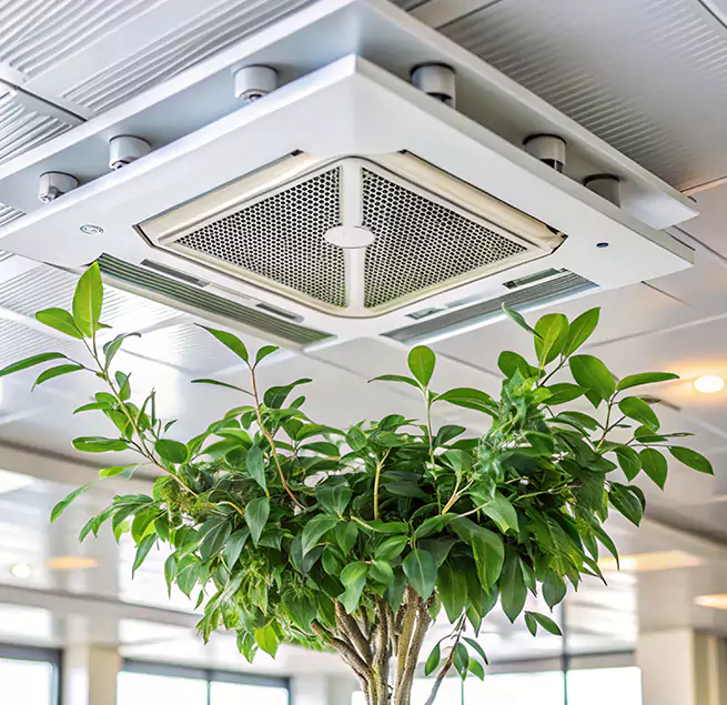 Why Homeowners & Businesses Trust Us in South Salt Lake, UT