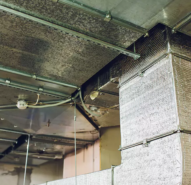 Why Homeowners & Businesses Trust Us in South Salt Lake, UT?